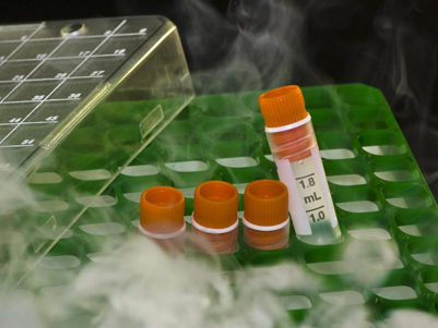 Правила хранения и перевозки лекарственных препаратов