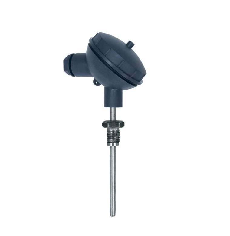 Термопреобразователи сопротивления ТСМr (ТСПr)–Кл1-2