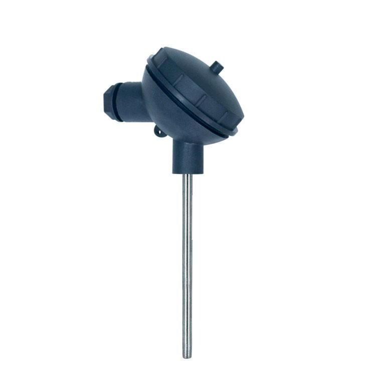 Термопреобразователи сопротивления ТСМr (ТСПr)–Кл1-1